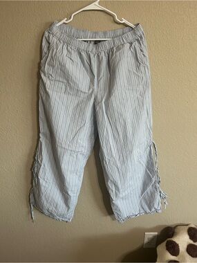 wild fable Light Blue and White Pinstripe Crop Pants